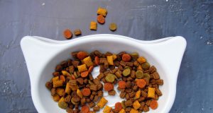 a tester of pet food