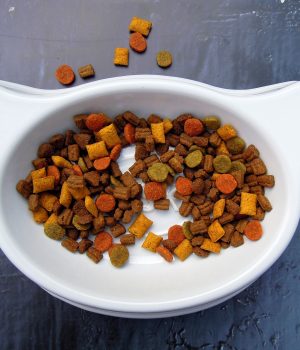 a tester of pet food