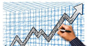 Stock Purchase Plans